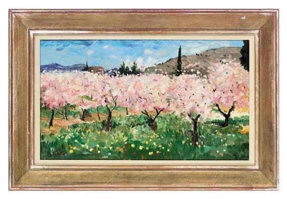 Almond blossom, Jalón Valley, Spain by Marcel Gatteaux, 2007