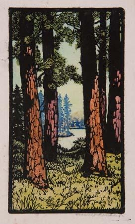 Redwood Forest by Frances H. Gearhart