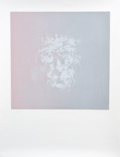 Louis Le Brocquy | Head of Beckett | MutualArt