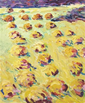 Ger's Field - Cóilín Murray