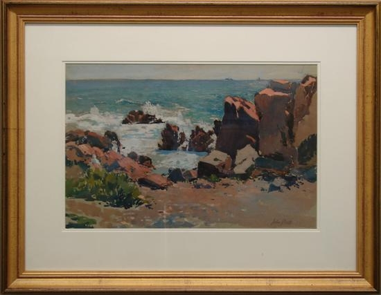 Maine Coast by John Dull