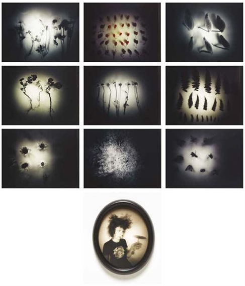 Barbara Ess | Untitled (botanical specimens) (in ten parts) (1997 ...