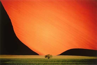 Cool and Collected: Portfolios of Photographs from the Museum Collection - Delaware Art Museum