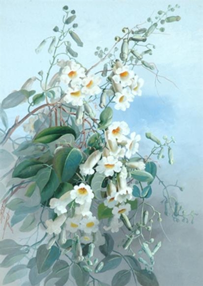 White Trumpet Flowers by Marian Ellis Rowan