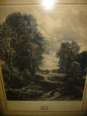 The Cornfield by David Lucas