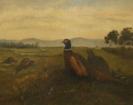Pheasant in a Landscape - General England