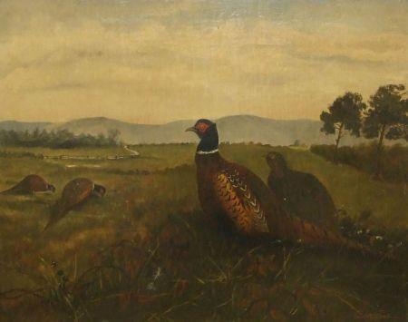 Artwork by General England, Pheasant in a Landscape, Made of Oil