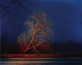 Gerard Byrne (Irish, 1969)