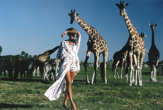Julie and the Giraffes - Stan Malinowski