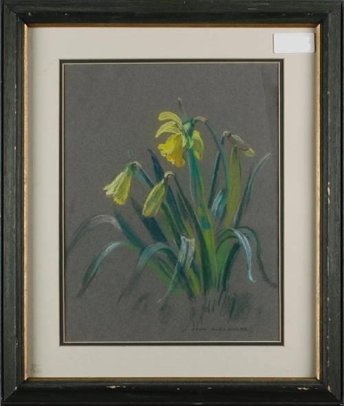 Daffodils