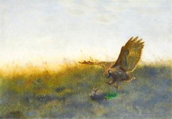 Owl hunting a hare