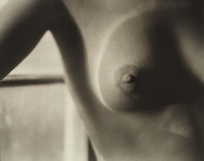 Artwork by Edward Weston, Nude, 1920, Made of Platinum print.