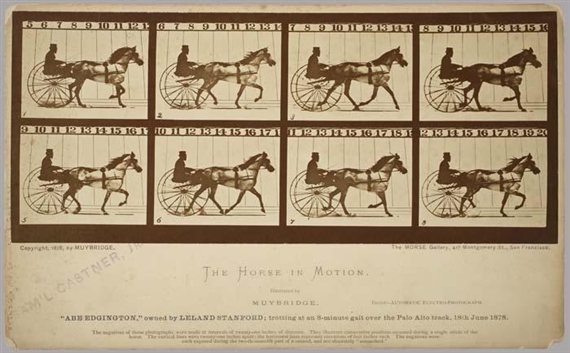 Eadweard Muybridge | The Horse in Motion (1878) | MutualArt