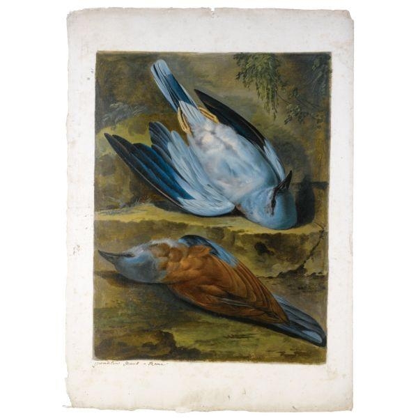 Artwork by Jacob Xaver Vermoelen, Two dead rollers, Made of Oil on paper