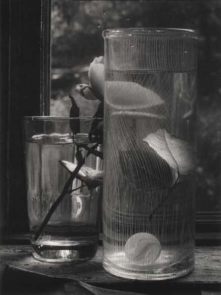 Still life with floating rose petal by Josef Sudek, Early 1960s