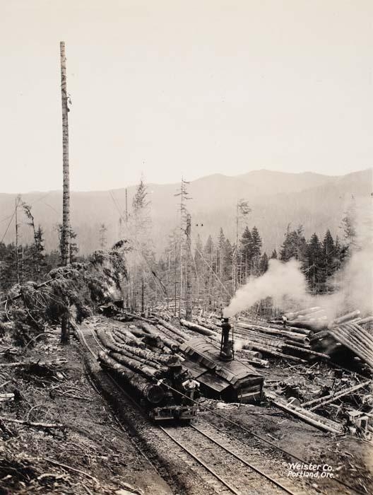 Unknown Big Creek Logging Co., Knappa, Oregon (Circa 1910) MutualArt
