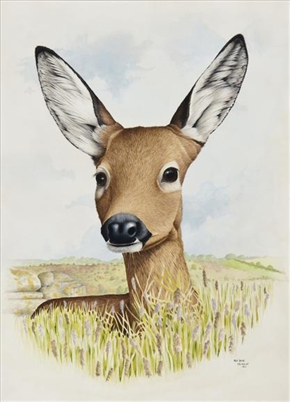 Roe Deer by Paul H. Hislop, 1971