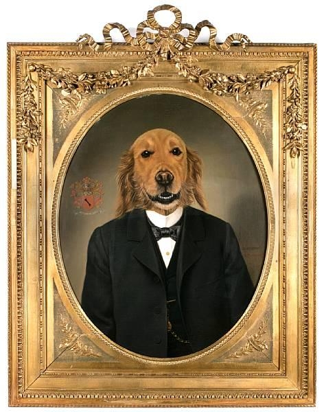 Golden retriever in business suit by Thierry Poncelet
