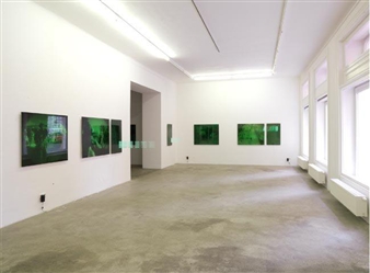 Ruth Schnell: Mirrors of the Unseen - Galerie Grita Insam