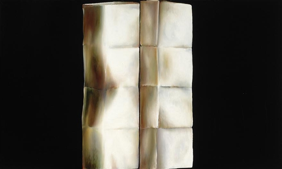 Dyptich with black background by Paul De Vylder