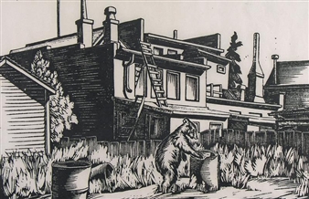 BANFF BACKCOUNTRY - Clifford Foard Robinson