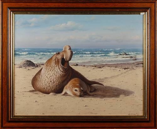 Artwork by Robert Macintosh, Elephant seal bull and cow, Made of oil on board
