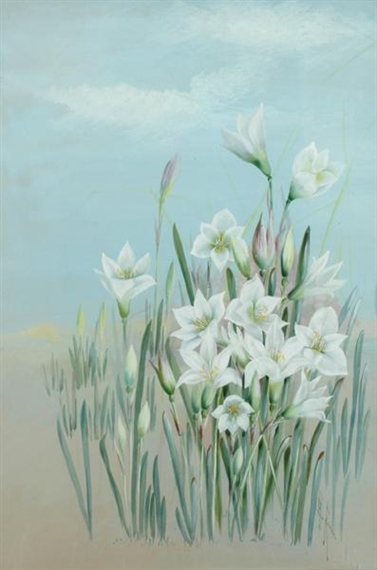 White Lily by Marian Ellis Rowan
