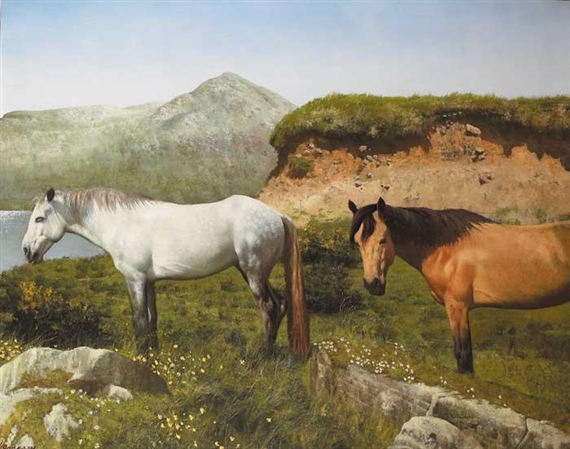 CONNEMARA PONIES by Patrick Hennessy