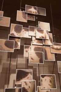 Jeffrey Schiff: Double Vision  - Ezra and Cecile Zilkha Gallery