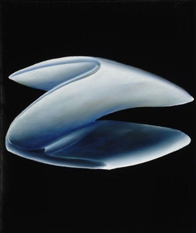 Composition on a black background - Paul De Vylder