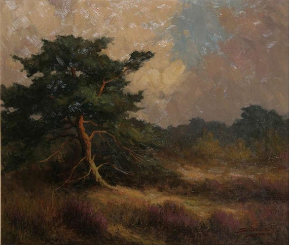 Moorland - Jos Stokbroeckx