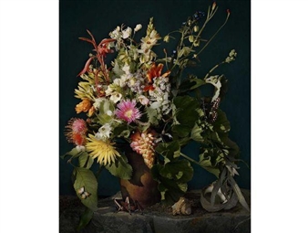 Hottentots Holland, Flora Capensis 5 - Andrew Putter