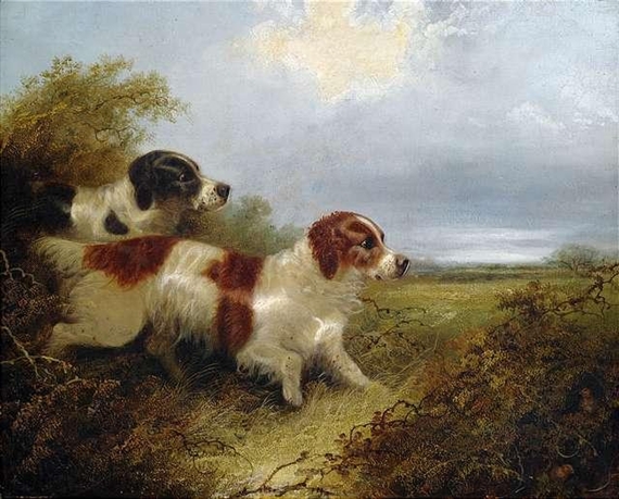 Two terriers hunting by Edward Armfield, 19th Century