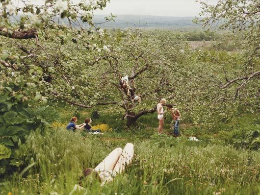 Orchard by Justine Kurland, 1999