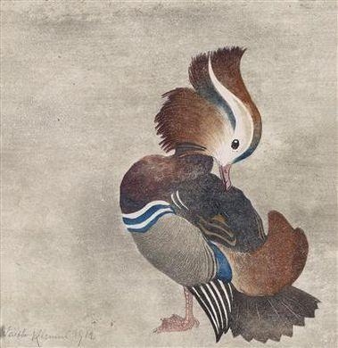 "Mandarin Duck" by Walther‏ Klemm, 1920