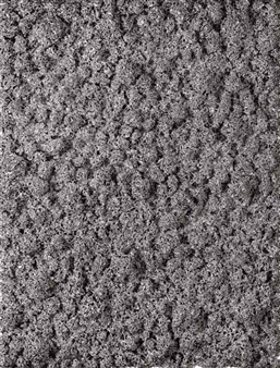 Lot 08 1703(p) - Donald Moffett