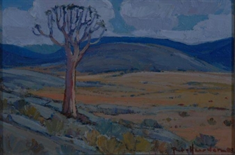 QUIVER TREE, NAMAQUALAND - Piet van Heerden