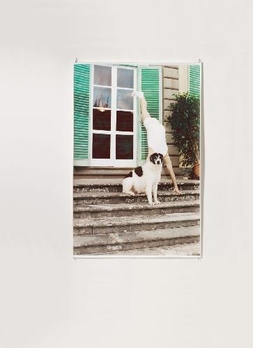 Wolfgang Tillmans | Kate Sitting (1996) | MutualArt