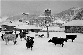 Pobeda Gallery Presents "Face to Face" the First Exhibition of Georgian Photography in Moscow