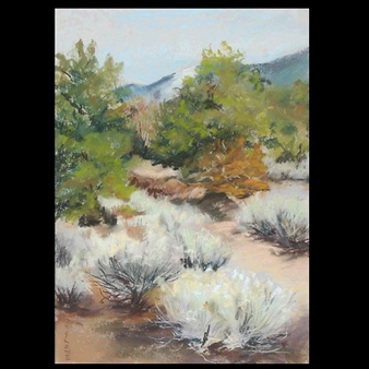 Southwest Desert Landscape - J. Snow