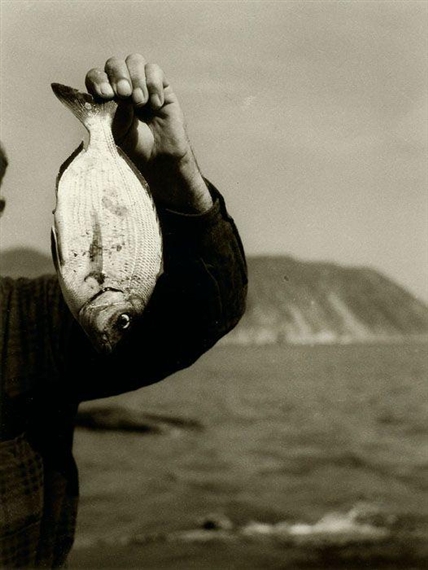 Andriesse, Emmy 20 Artworks MutualArt