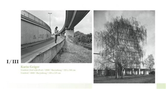 Karin Geiger: Mutual Transition I / III - Steinle Contemporary