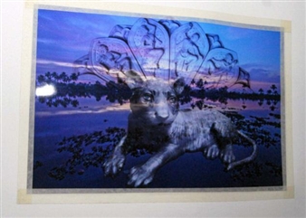 Melange of ideas, forms