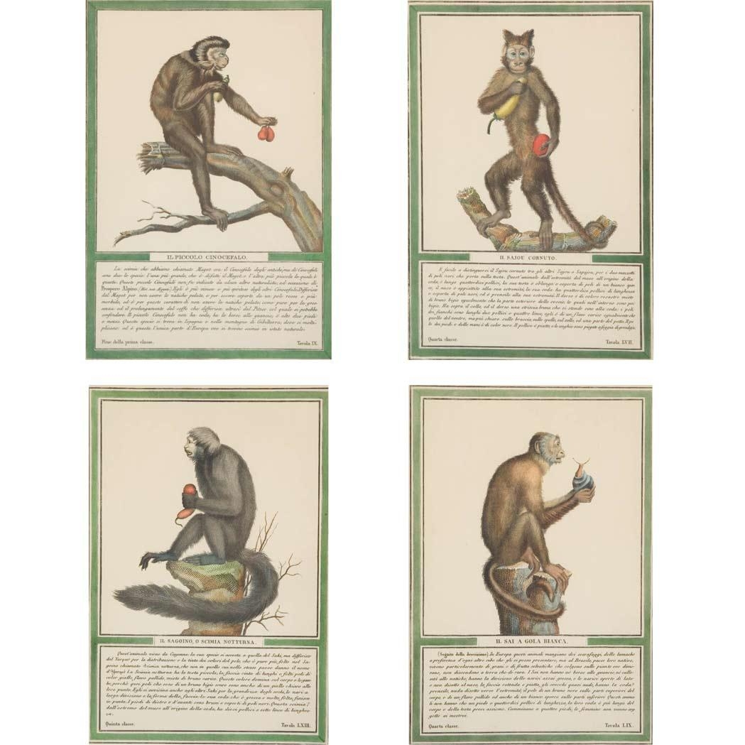 Unknown | 4 Works: Monkey Studies | MutualArt