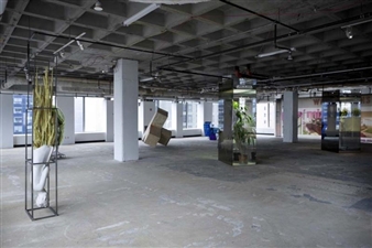 The Zabludowicz Clan Takes Times Square