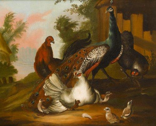 A peacock and other decorative fowl in a landscape by C. Stuart, 1797