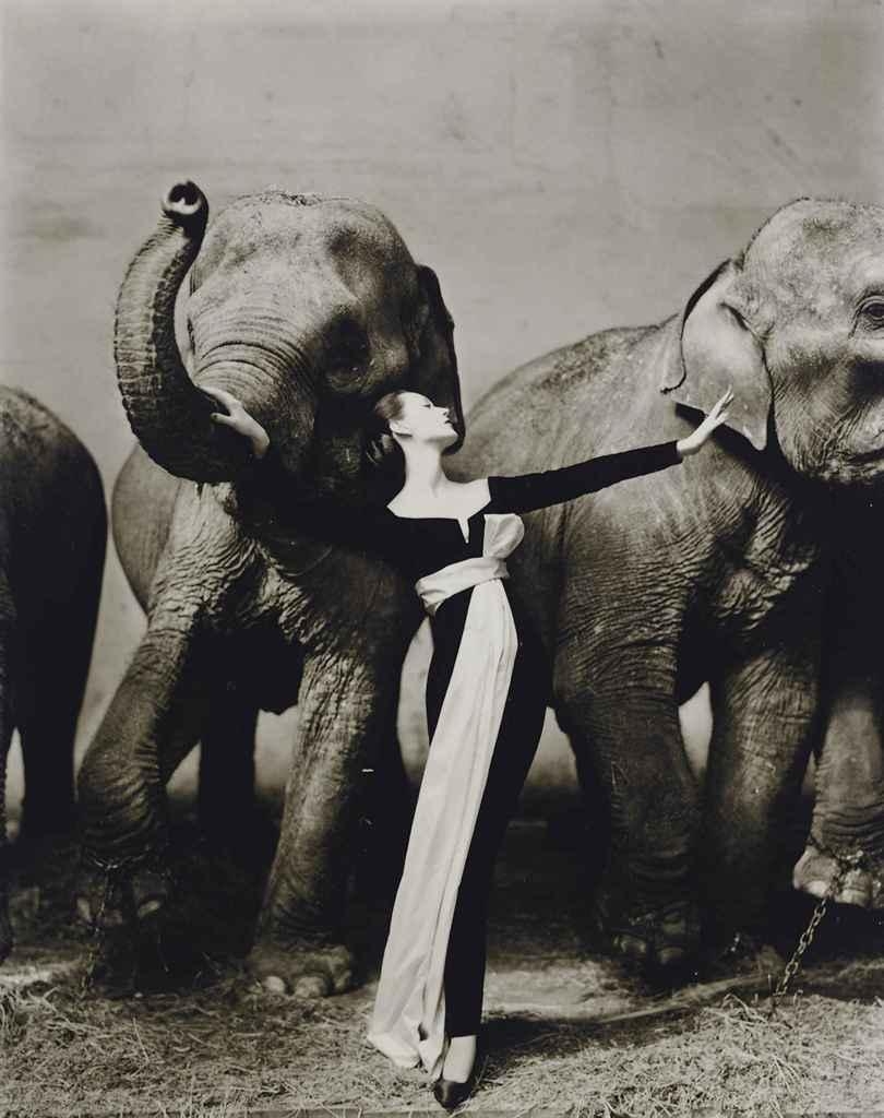 Artwork by Richard Avedon, Dovima with Elephants, Evening Dress by Dior, Cirque d'Hiver, Paris, August 1955, Made of gelatin silver print