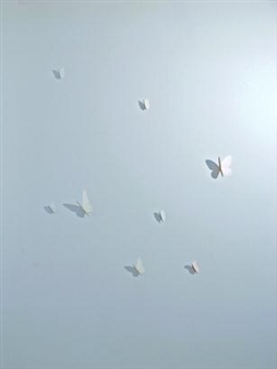 Barnaby Hosking: Thoughts - Patricia Low Contemporary, Geneva