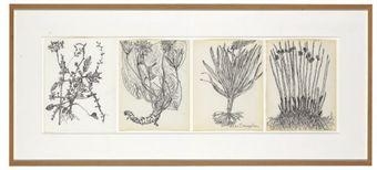 Untitled Quartet (all pages: Plants and Roots) by Merce Cunningham, circa 1985-1992