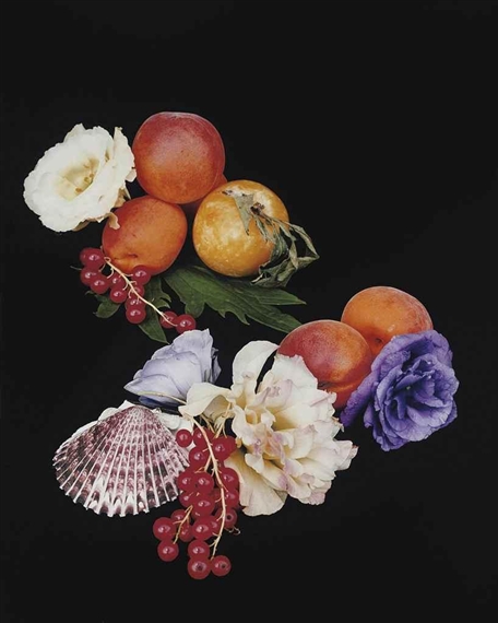 Stilleben-11-2006 by Shirana Shahbazi, 2006